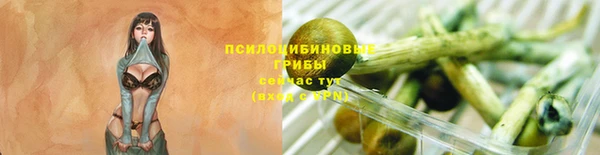 круглые Карталы
