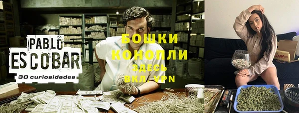 прущий лед Касимов