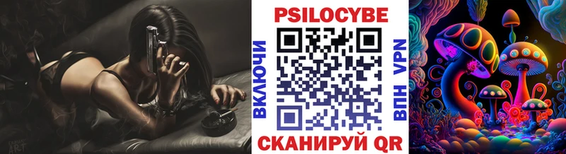 Галлюциногенные грибы Psilocybe  Тара 