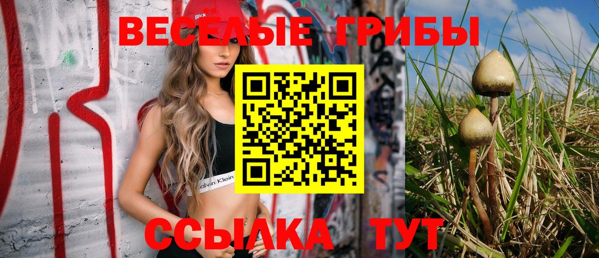 Галлюциногенные грибы мицелий Тара