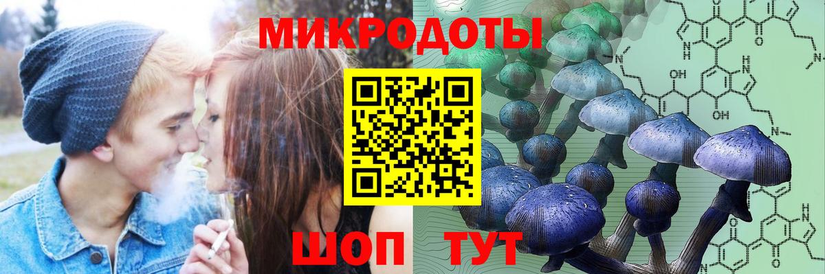 Галлюциногенные грибы ЛСД  Вход с VPN  Тара  Галлюциногенные грибы Magic Shrooms 