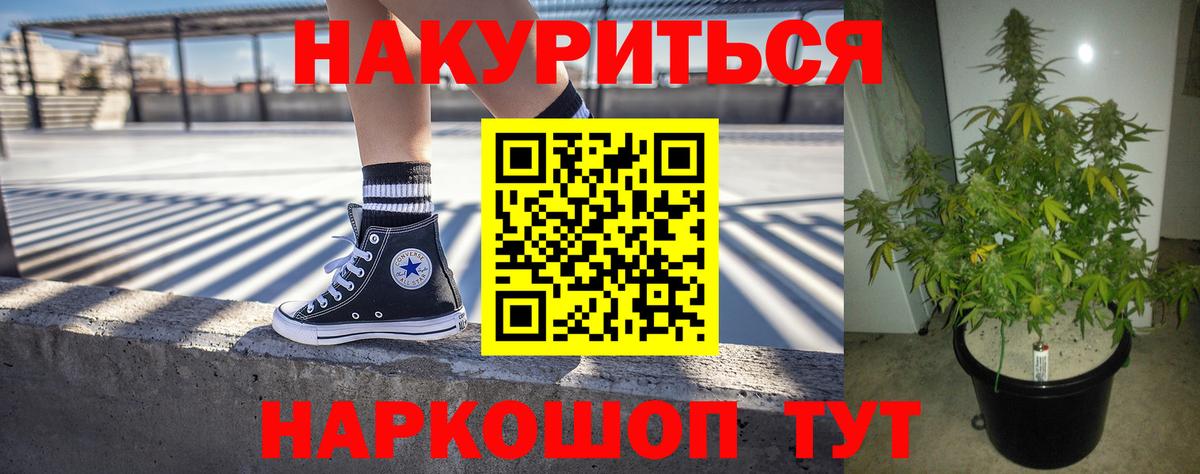 Шишки марихуана VHQ  Вход с VPN  Каннабис сатива  Тара  Канабис AK-47 